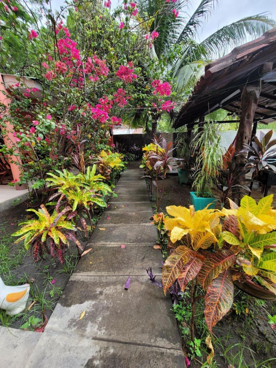 Ometepe House Bed & Breakfast Moyogalpa Exterior photo